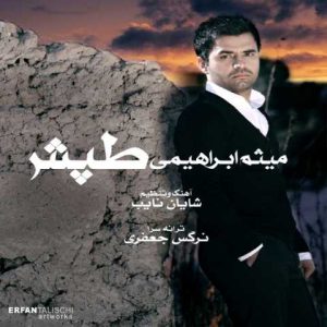 Meysam Ebrahimi Tapesh